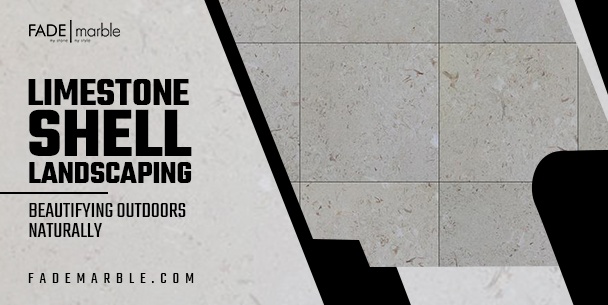 Shell Limestone